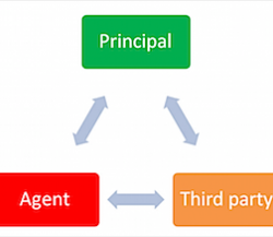 Agency Law